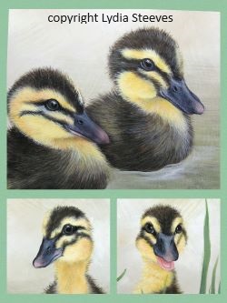 Critter Squares - Quack Quack Acrylic e-Packet